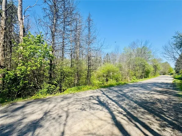 Dog Hollow Rd Lot 1, Truxton, NY 13158