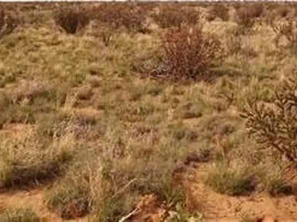 33 Avenue NW, Rio Rancho, NM 87144