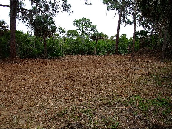 4th image of 9011 Caloosa Dr