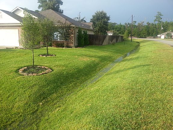 trees installed