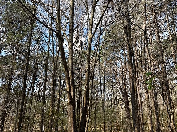 5th image of 0 Saffold Rd