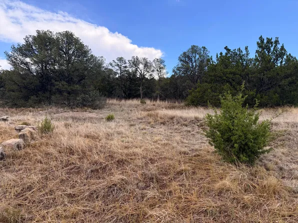 LOT 8 Horseshoe Bnd, Edgewood, NM 87015
