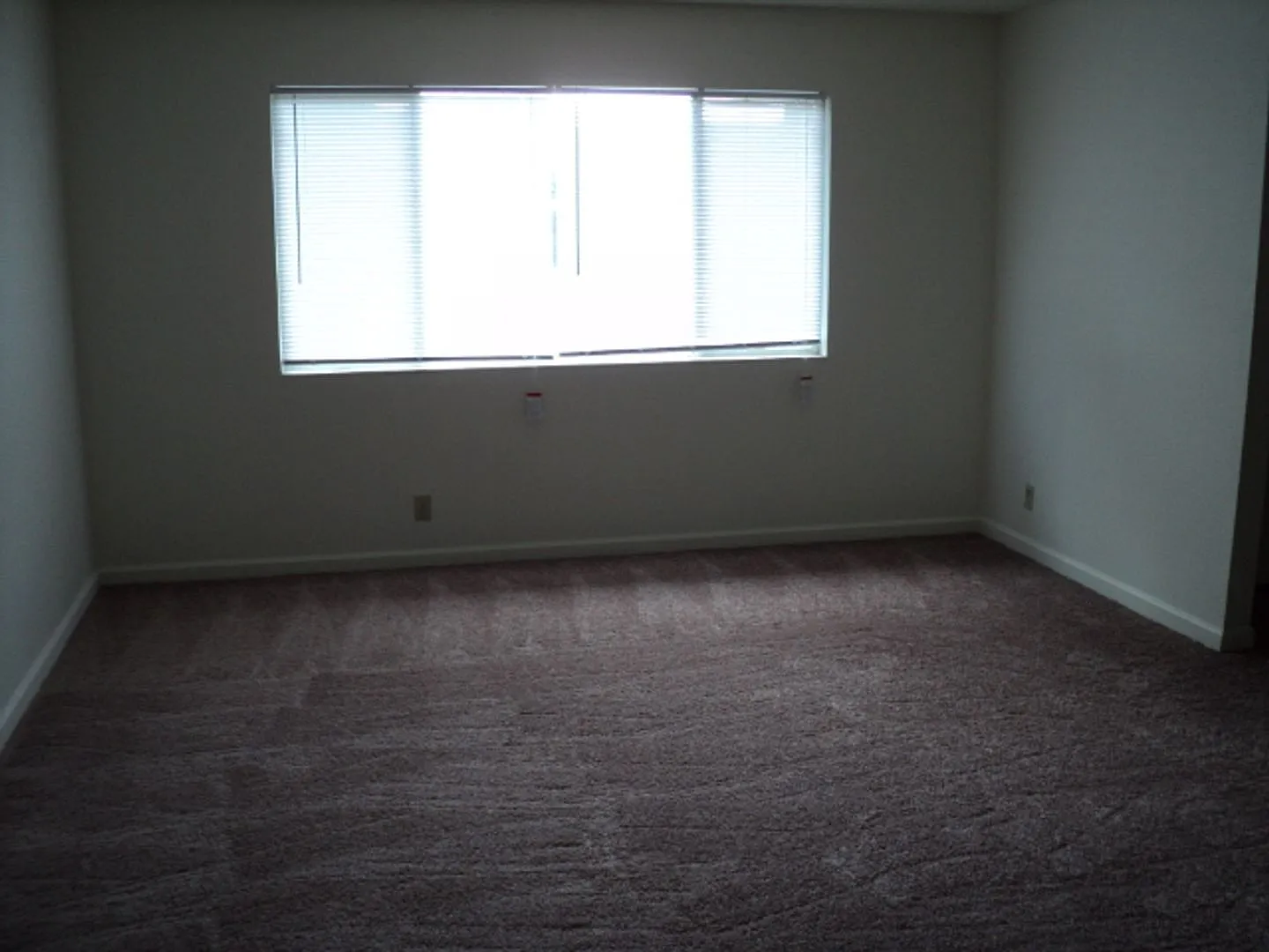 Spacious 4 bedroom — Photo 4