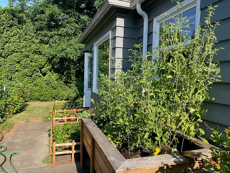 front garden beds