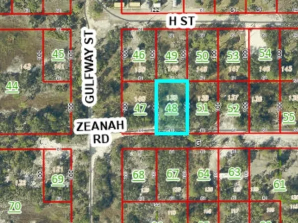 0 Zeanah Rd, Gulf Shores, AL 36542