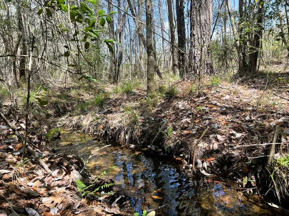 650 Old Sardis Church Rd, Clayton, AL 36016