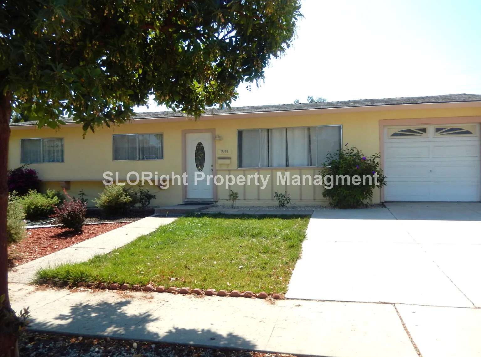 3 bed, 1.5 bath, 1040 sqft, $2,900 — Photo 2
