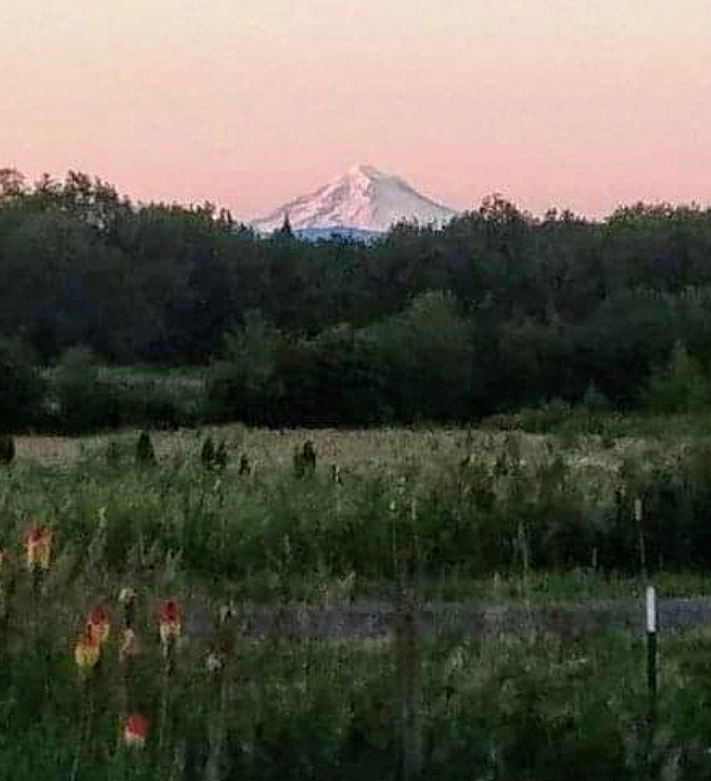 View from back porch