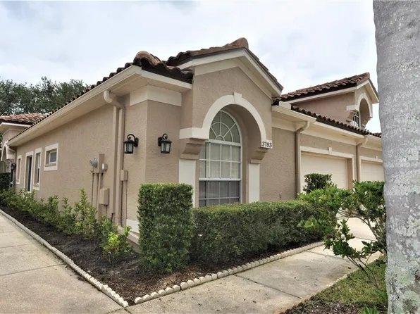 3783 Darston St, Palm Harbor, FL 34685