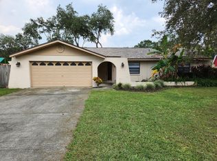 933 Dixie Maid Ln, Valrico, FL 33594