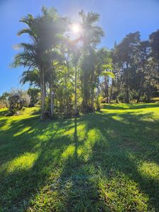 44-3333 Kalopa Mauka Rd, Honokaa, HI, 96727