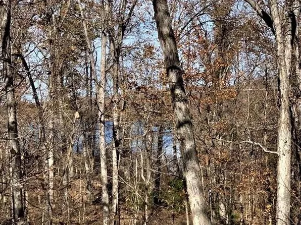 891 Alabaster Ct, Lake Ozark, MO 65049