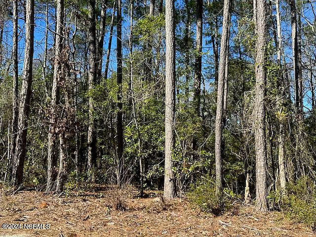 2nd image of 1250 Black Bear Run SW