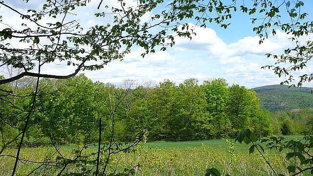 2nd image of 1393 Carrie Howe Rd