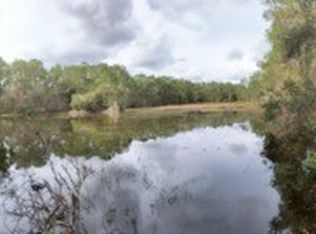 18150 Commonwealth Ave, Polk City, FL 33868