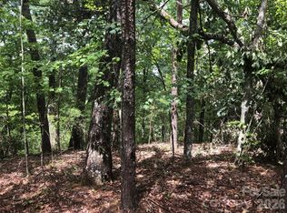 0 Buffalo Creek Rd #35, Lake Lure, NC 28746