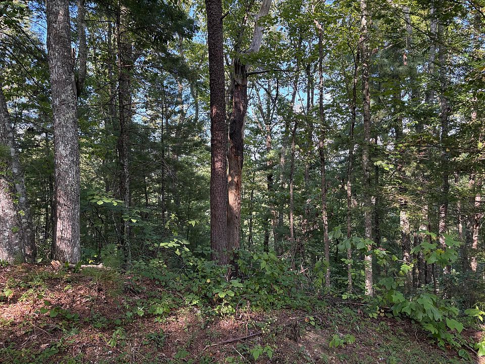 1st image of 7 Oakwood Rd