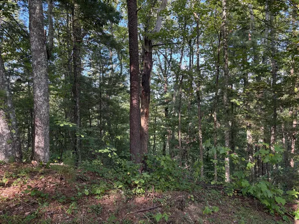 7 Oakwood Rd, Walland, TN 37886