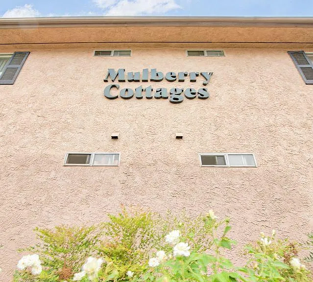 Mulberry Cottages — Photo 3