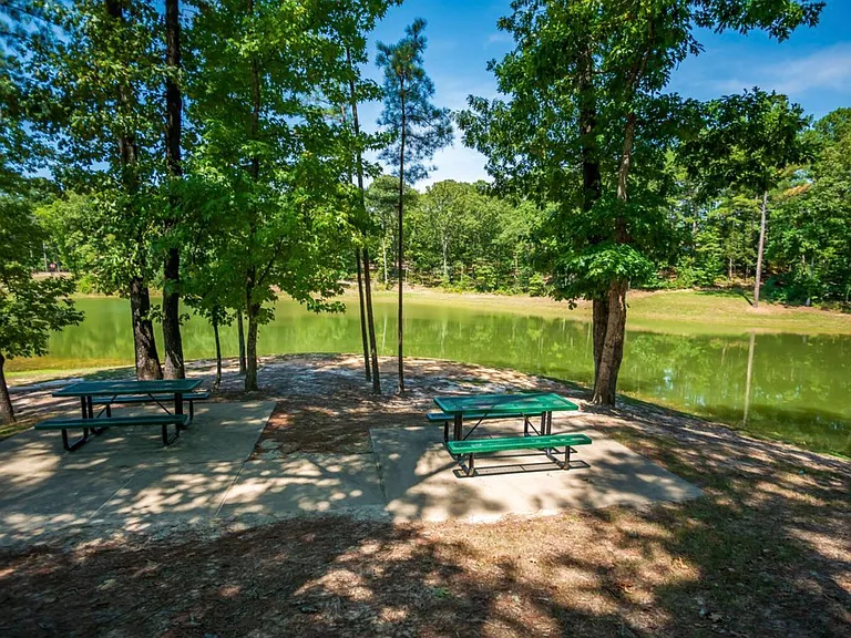 736 Turkey Oak Cv — Photo 19