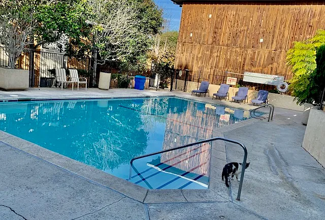 6914 Los Verdes Dr #8 — Photo 9