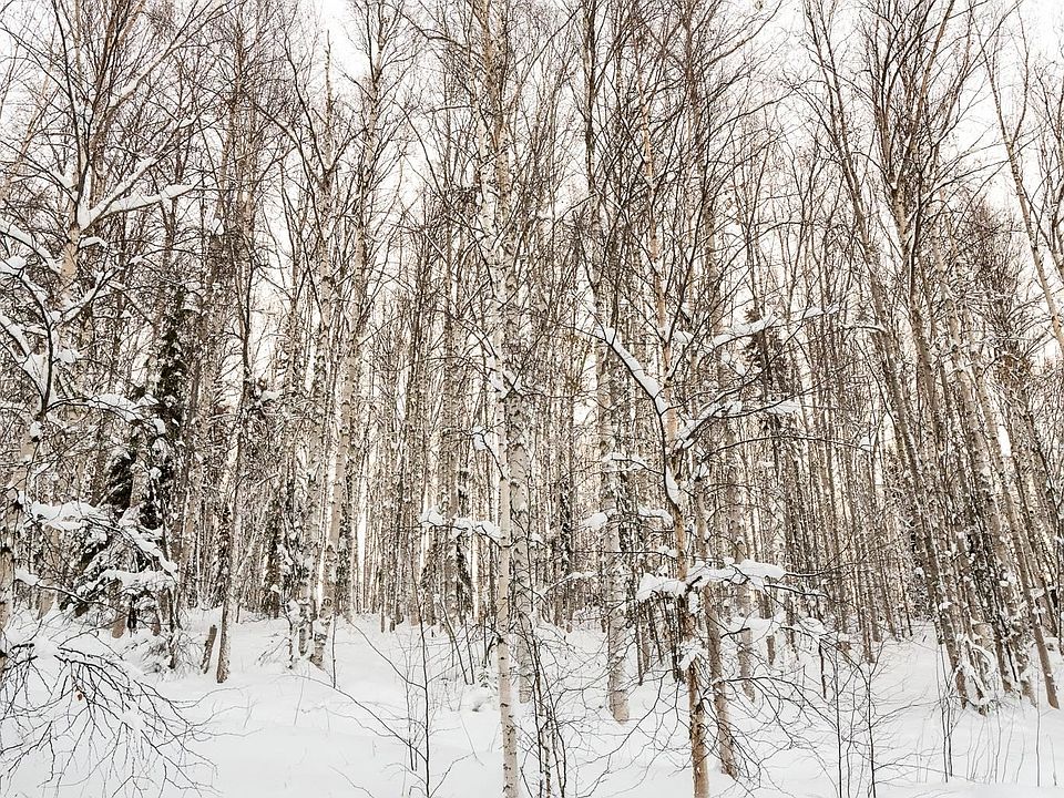 2nd image of Nhn Chena Ridge Rd