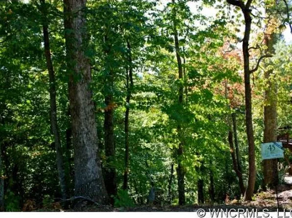 2 Whitman Ln #A, Black Mountain, NC 28711