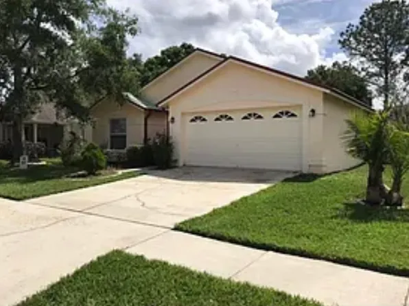 14910 Rocky Ledge Dr, Tampa, FL 33625