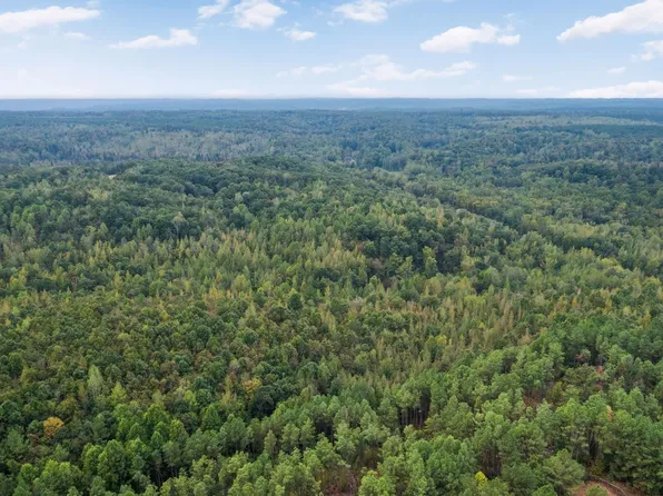 2 Peachwood Ln, Holladay, TN 38341