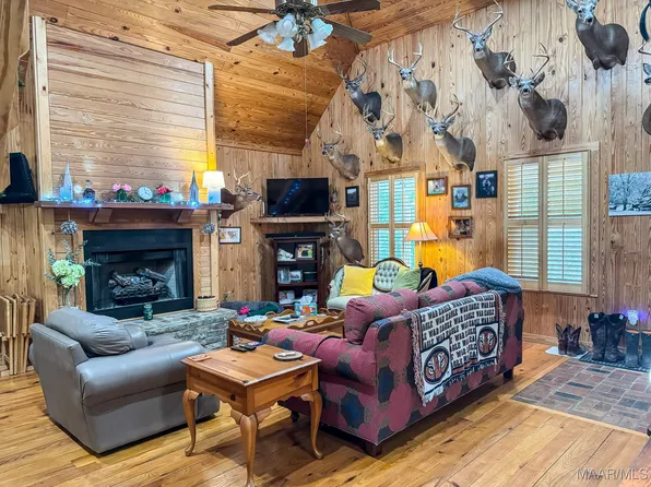 100 Walnut St, Catherine, AL 36728