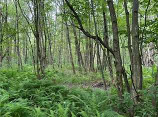 42 Kimball Camp Rd #2, Richland, NY