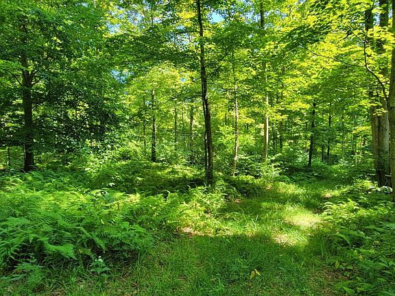 4th image of Sanford Rd