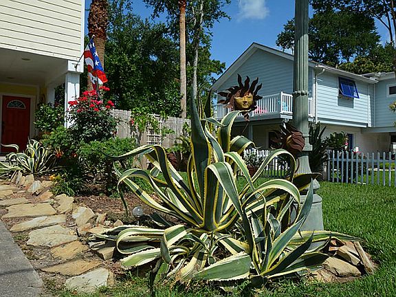 Wonderfully landscaped front yard with roses, aloe and great stone accents.