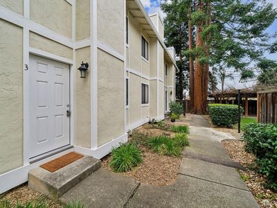 1140 Detroit Ave APT 3, Concord, CA, 94520