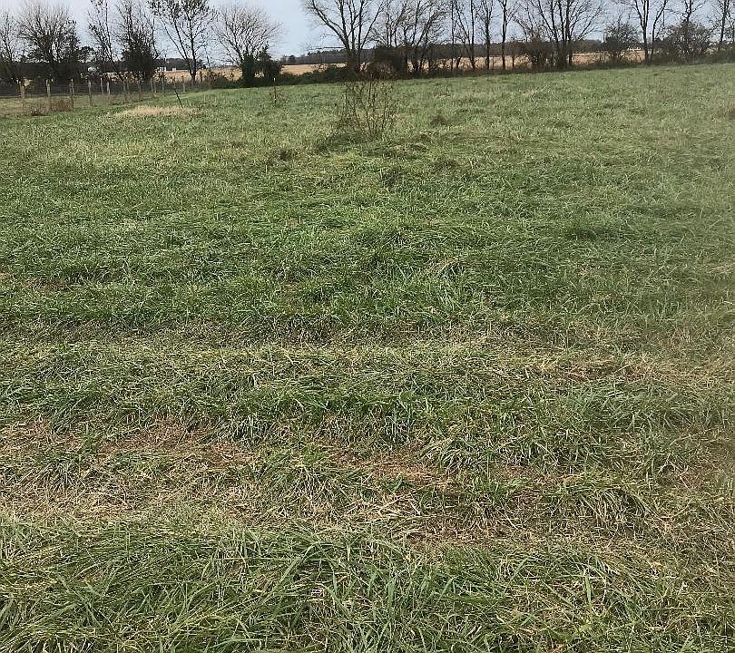 0 Holly Rd, Ridgely, MD 21660 Zillow