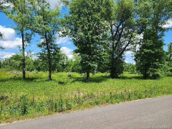 380 Andrew Mouhot Rd, Ragley, LA 70657