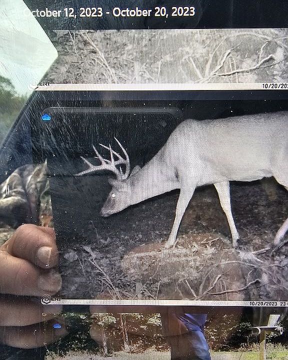 1911 Wingo Crk, South Shore, KY 41175 Zillow