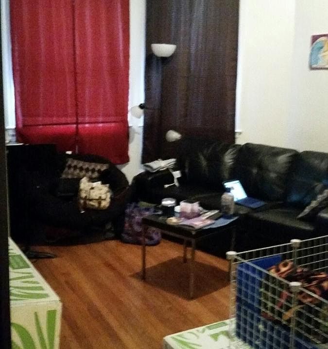 Living Room Area