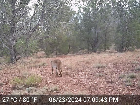 3rd image of 390 N Juniper Ranch Road #107