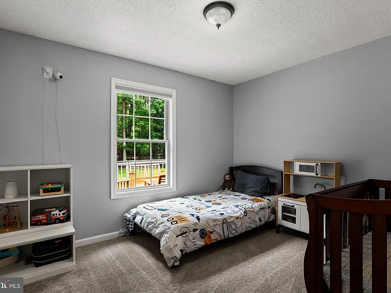 344 White Mule Ln — Photo 16