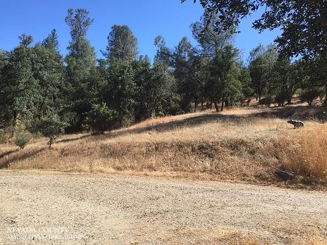 2nd image of 10026 Nishinam Gulch Rd