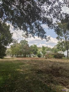 3621 Magnolia Dr, Slaughter, LA, 70777