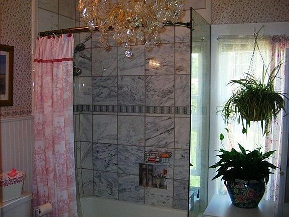 Main Bath Shower