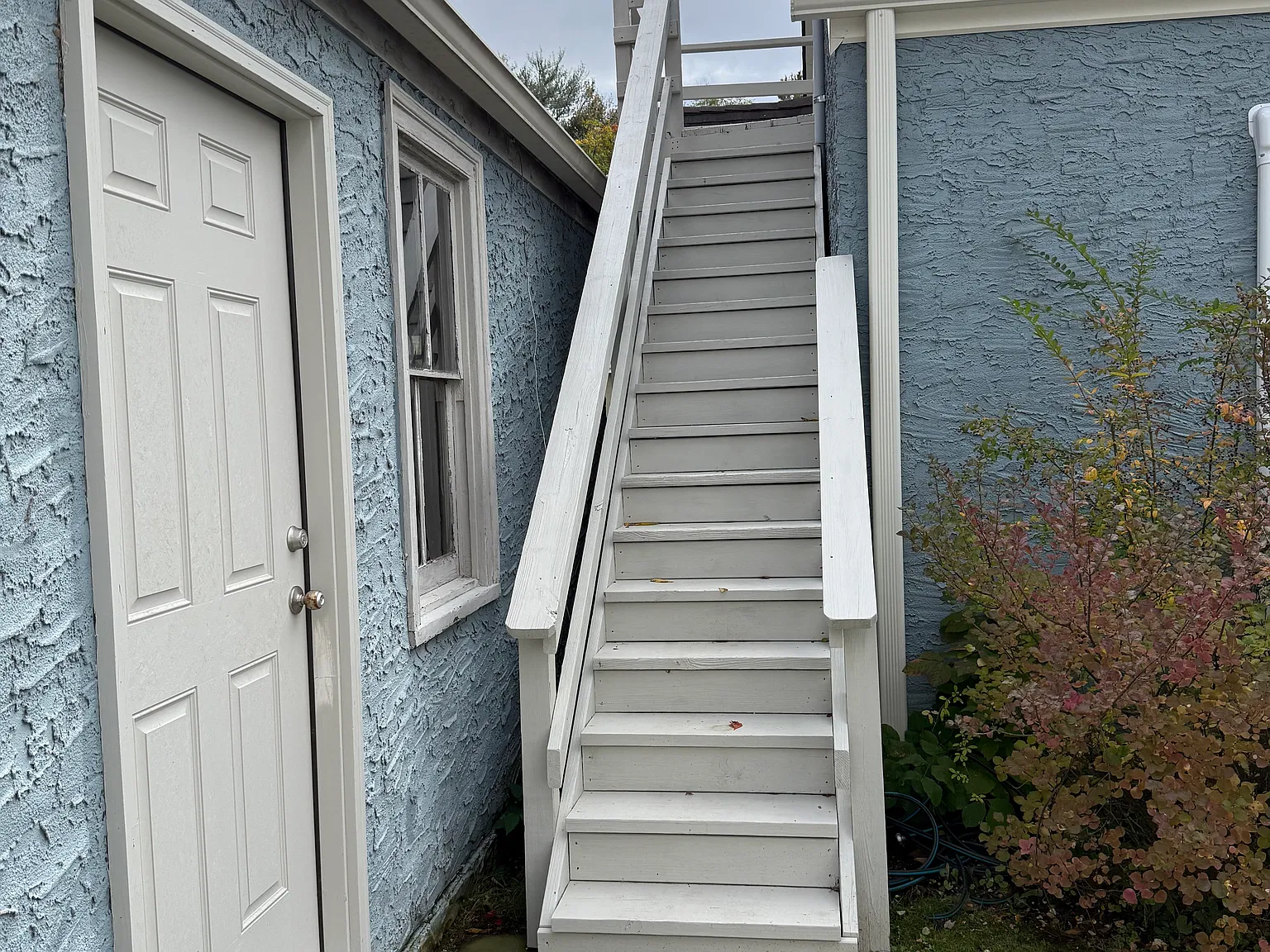 1 bed, 800 sqft, $1,900 — Photo 2