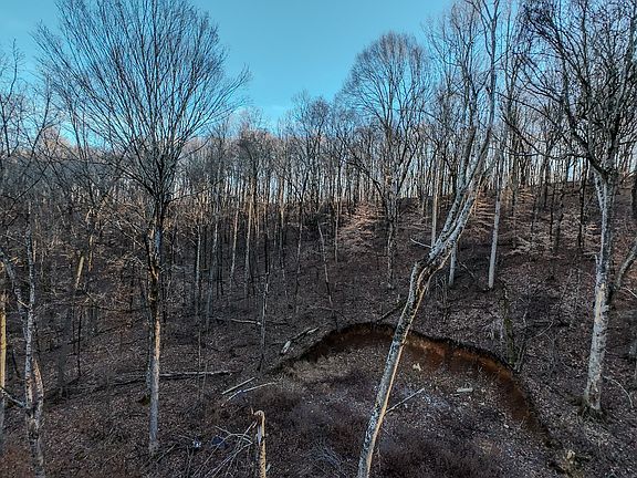 3rd image of 1843D Garrison Branch Rd Lot 2&3