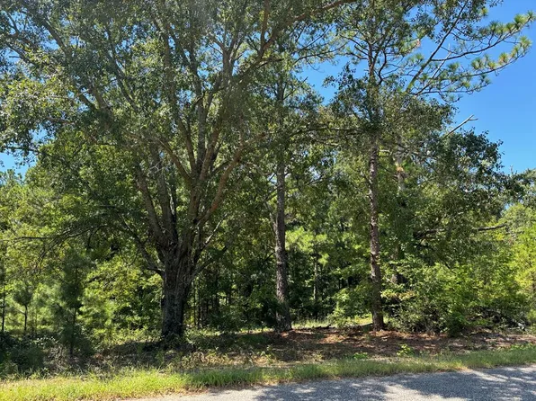 0 County Road 7703, Ramer, AL 36069