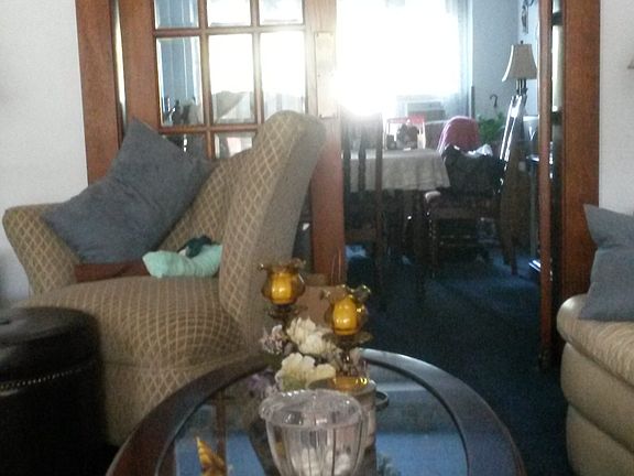 Glass French Doors LR to DR