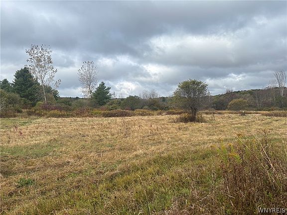 2nd image of 10087 Pratt Rd #10