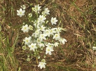 4386 Pebble Beach Rd, Rocklin, CA 95765