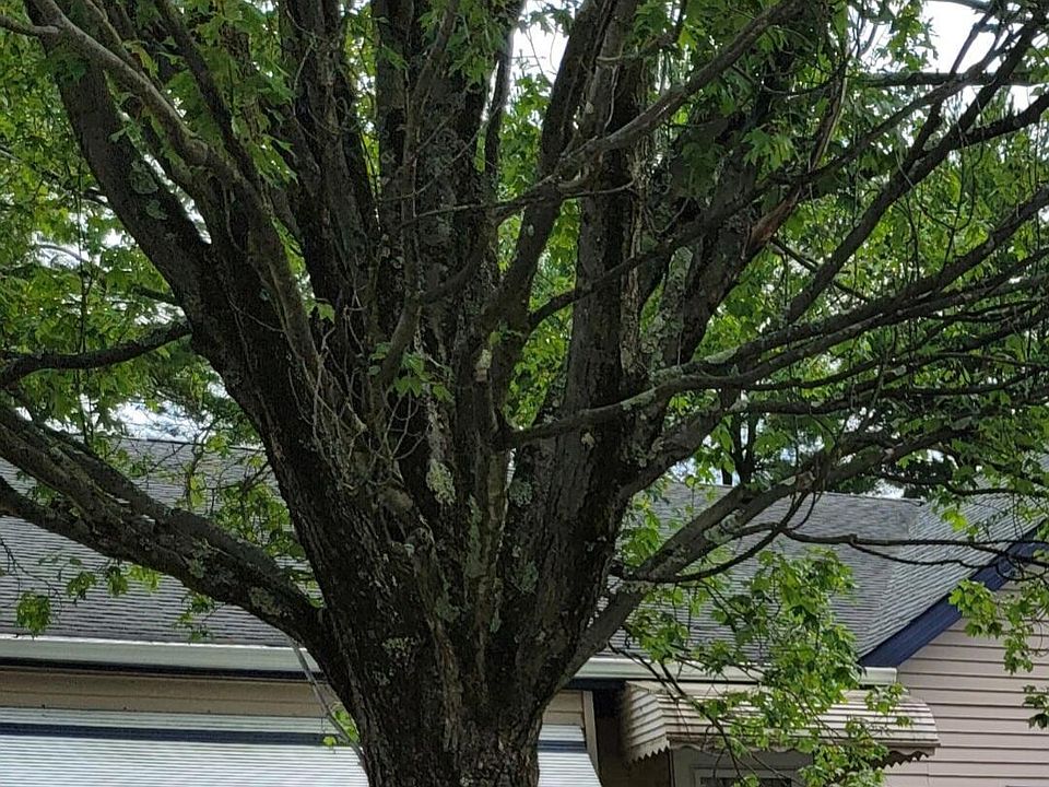 1st image of 2A Ivy Street #A